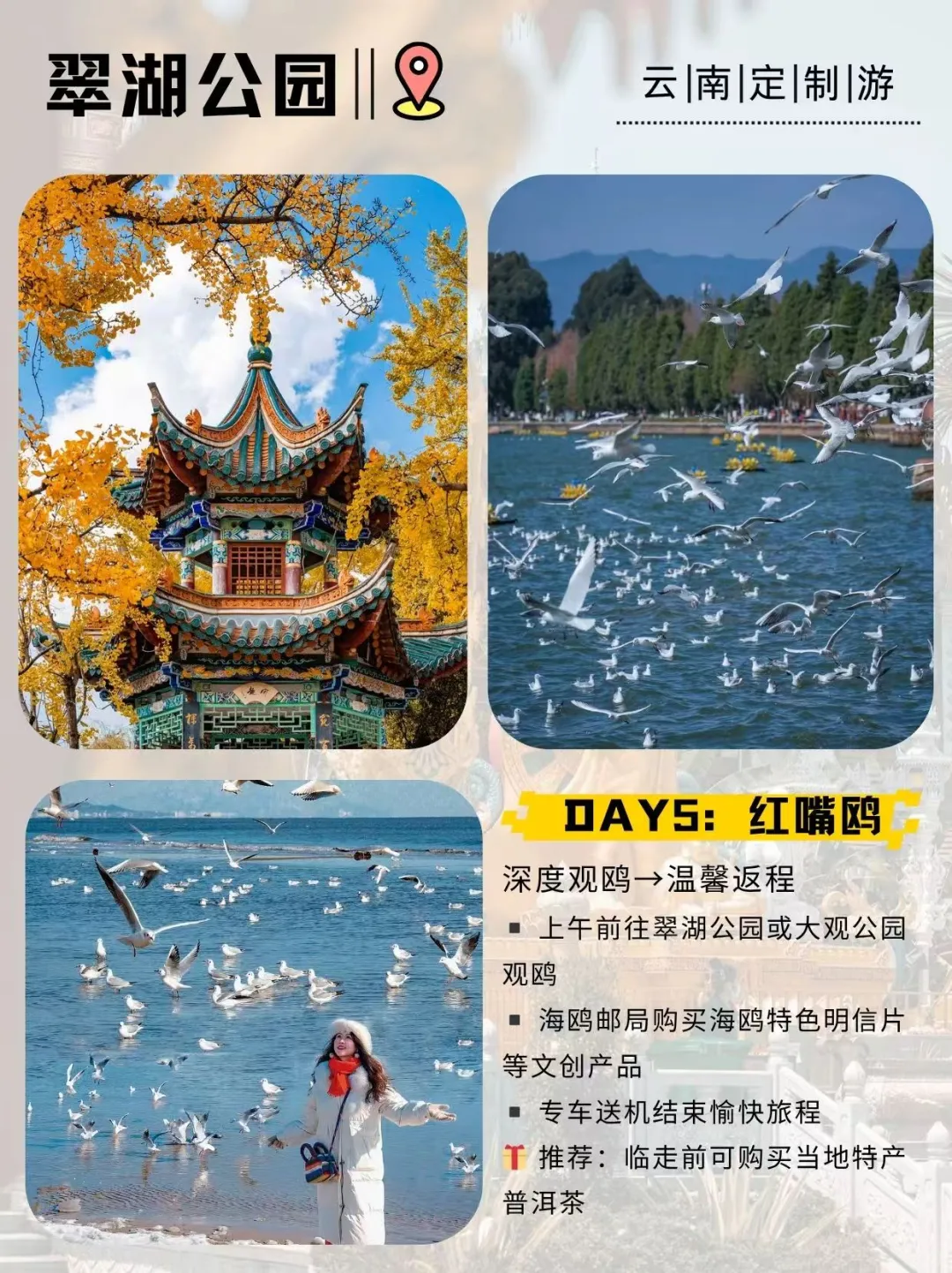 【西双版纳+昆明观鸥定制小团】5天4晚玩转