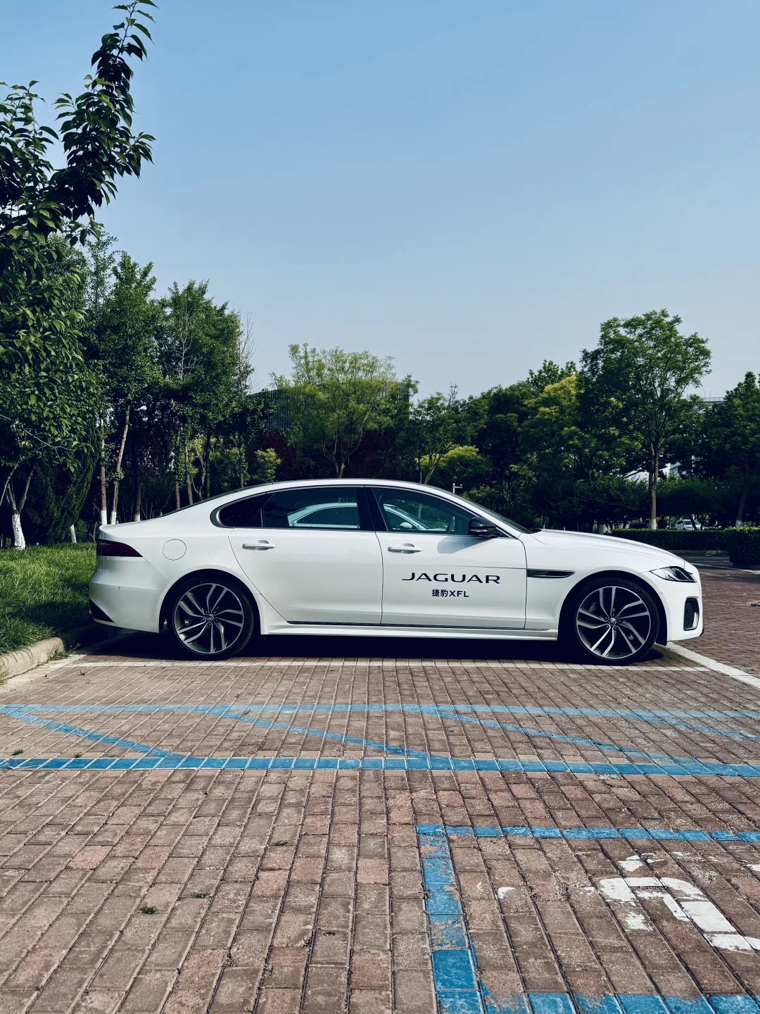 一定要bba吗？捷豹不行吗？