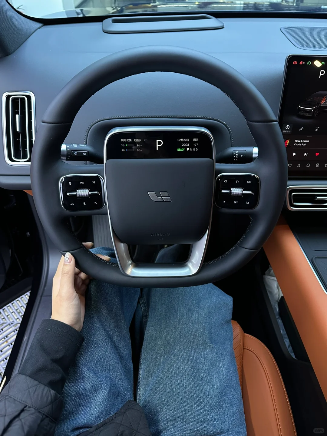 坚强的理想车主🥹