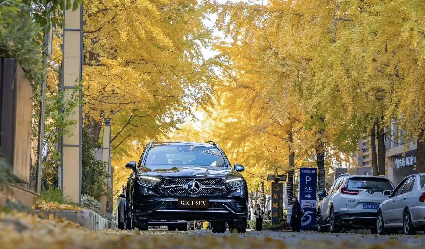 银杏鎏金满巷，长轴距GLC SUV 泊在秋光里