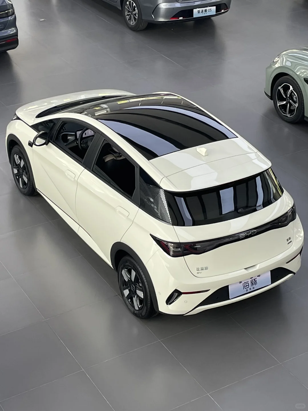 🐬比亚迪海豚，真的越看越爱！