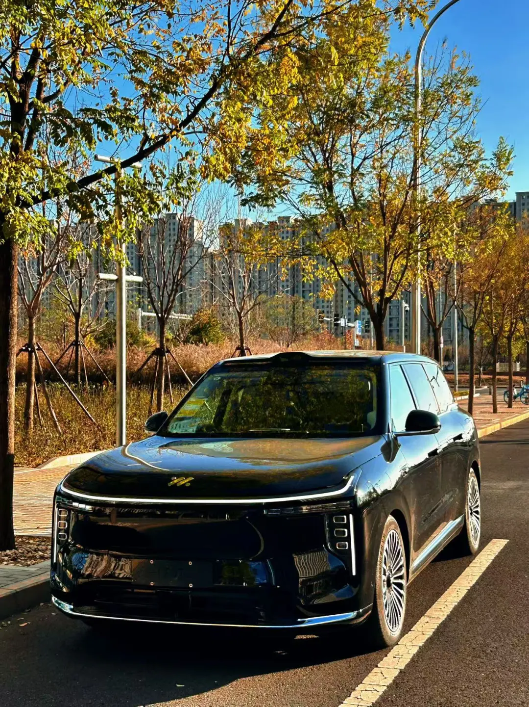 30万级豪华SUV天花板！LS9太懂北京人需求！