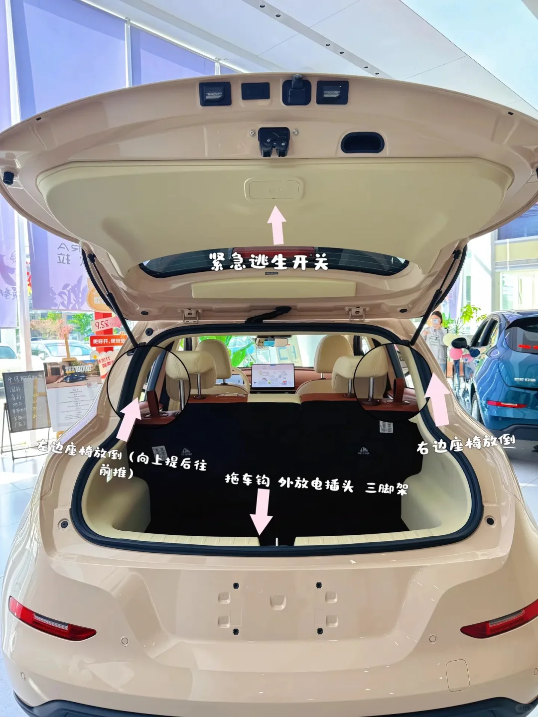 好猫是一款主打时尚智能的纯电动车型