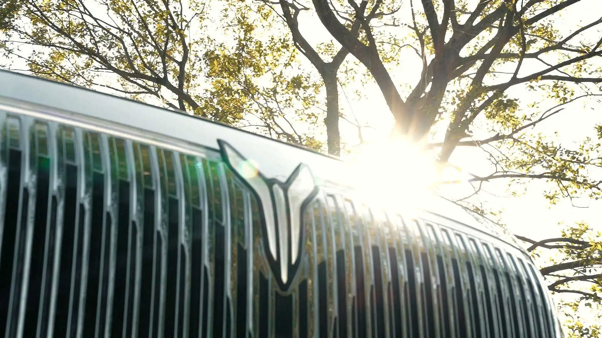 岚图新款旗舰大六座SUV泰山实拍图