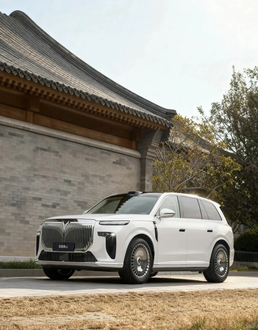 全家出游神器🚗｜岚图“泰山”大六座SUV太香