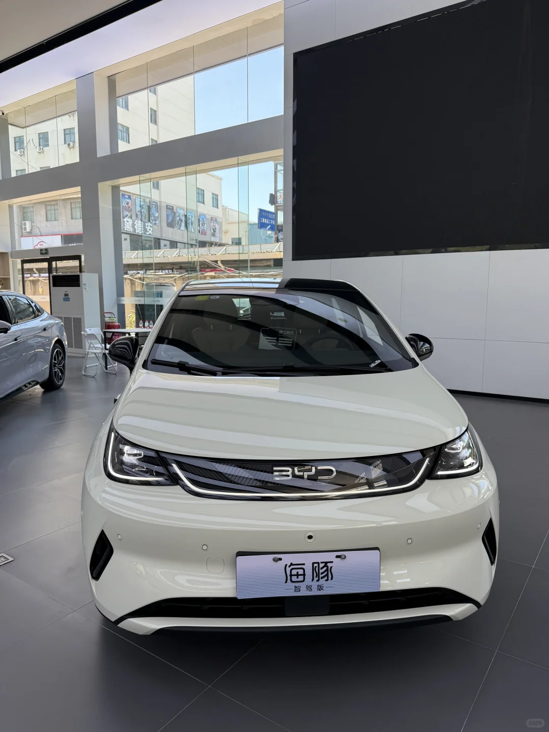 🐬比亚迪海豚，真的越看越爱！