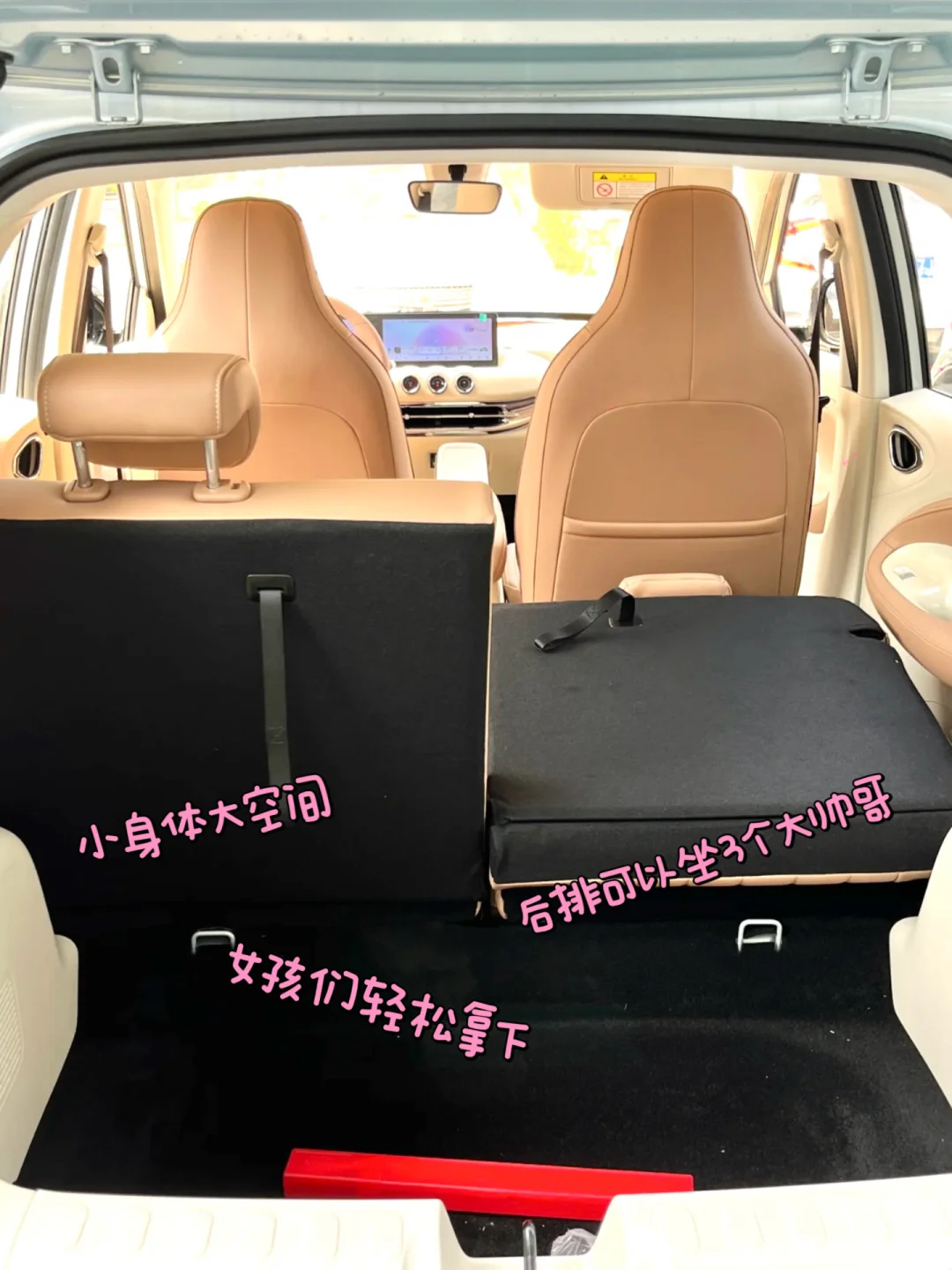 公主的代步车👑3w请提走✨紫色缤果