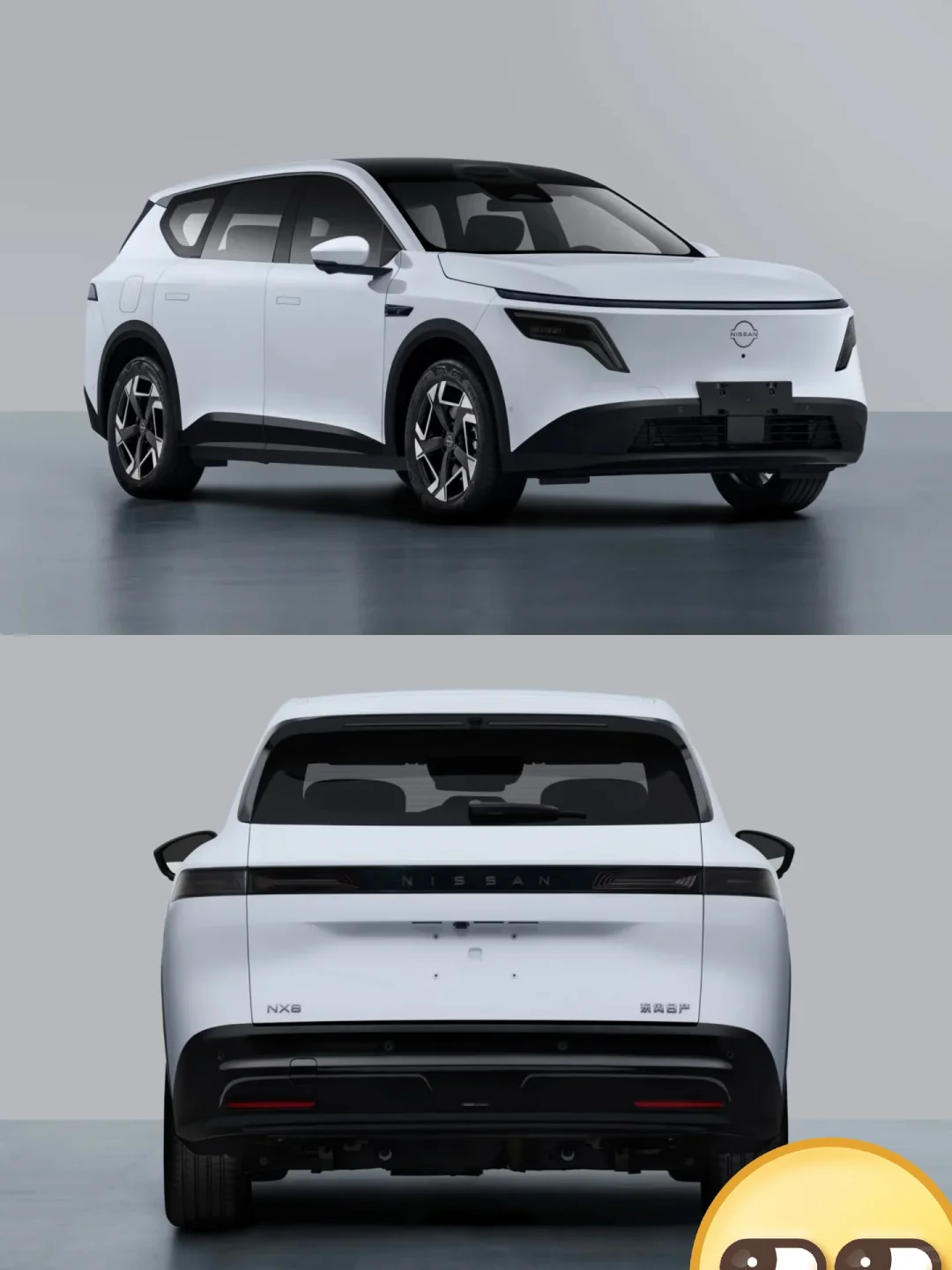 NX8东风日产新能源suv来了！