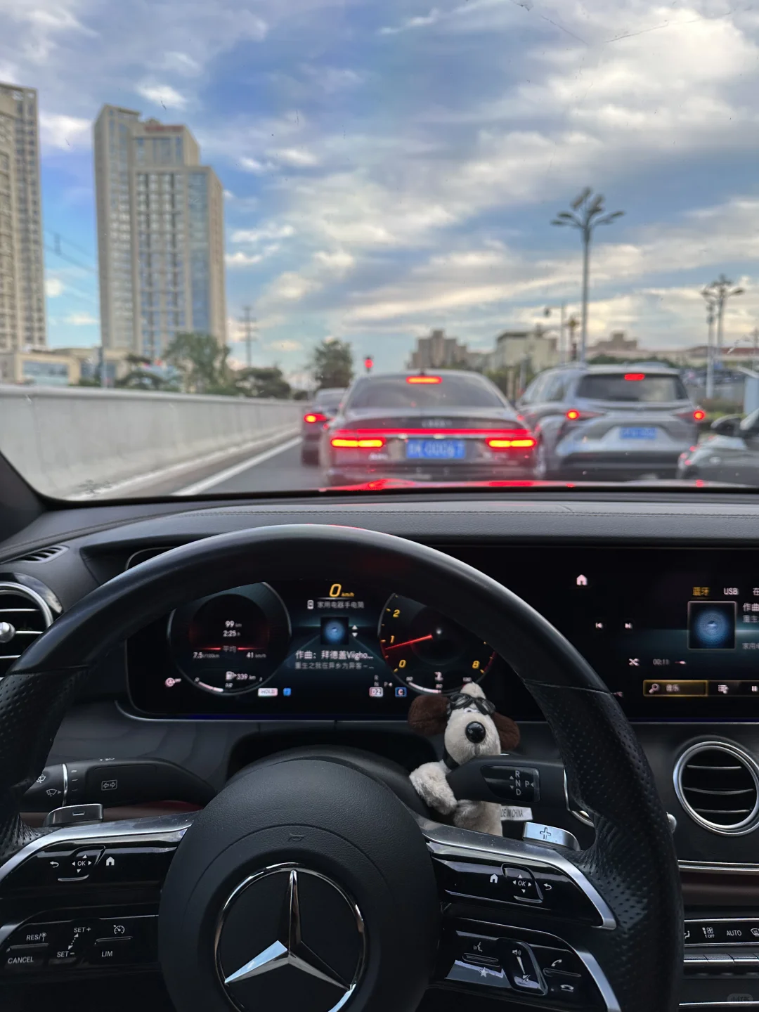 第一人称live图自取