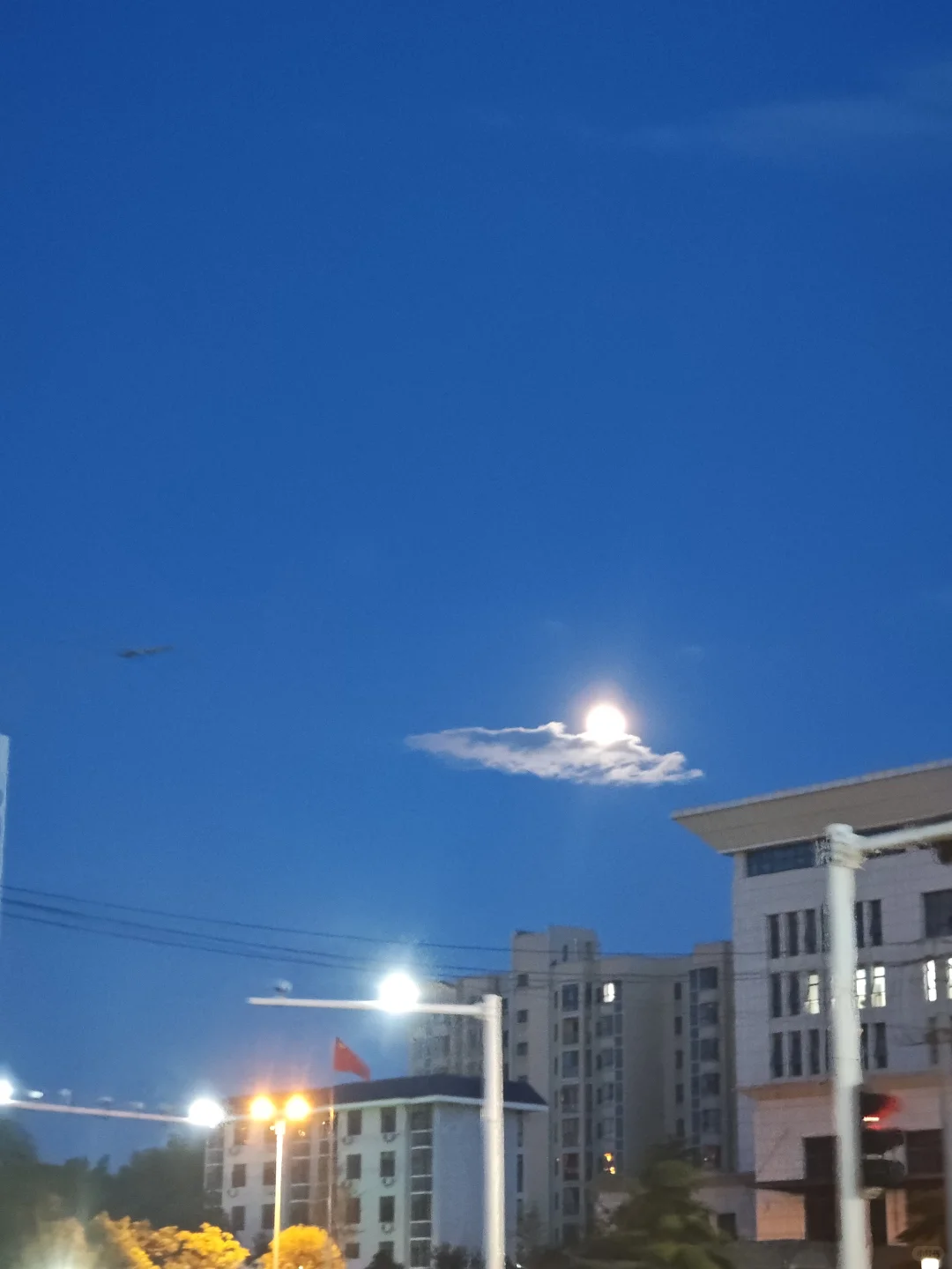 29岁｜5w喜提小星愿，愿所有心愿都实现～