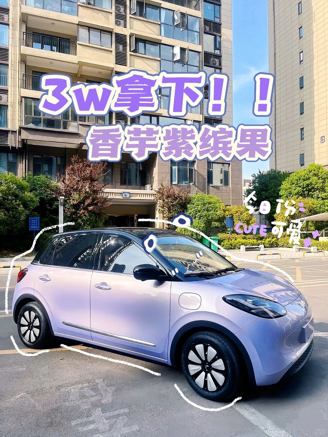 公主的代步车👑3w请提走✨紫色缤果