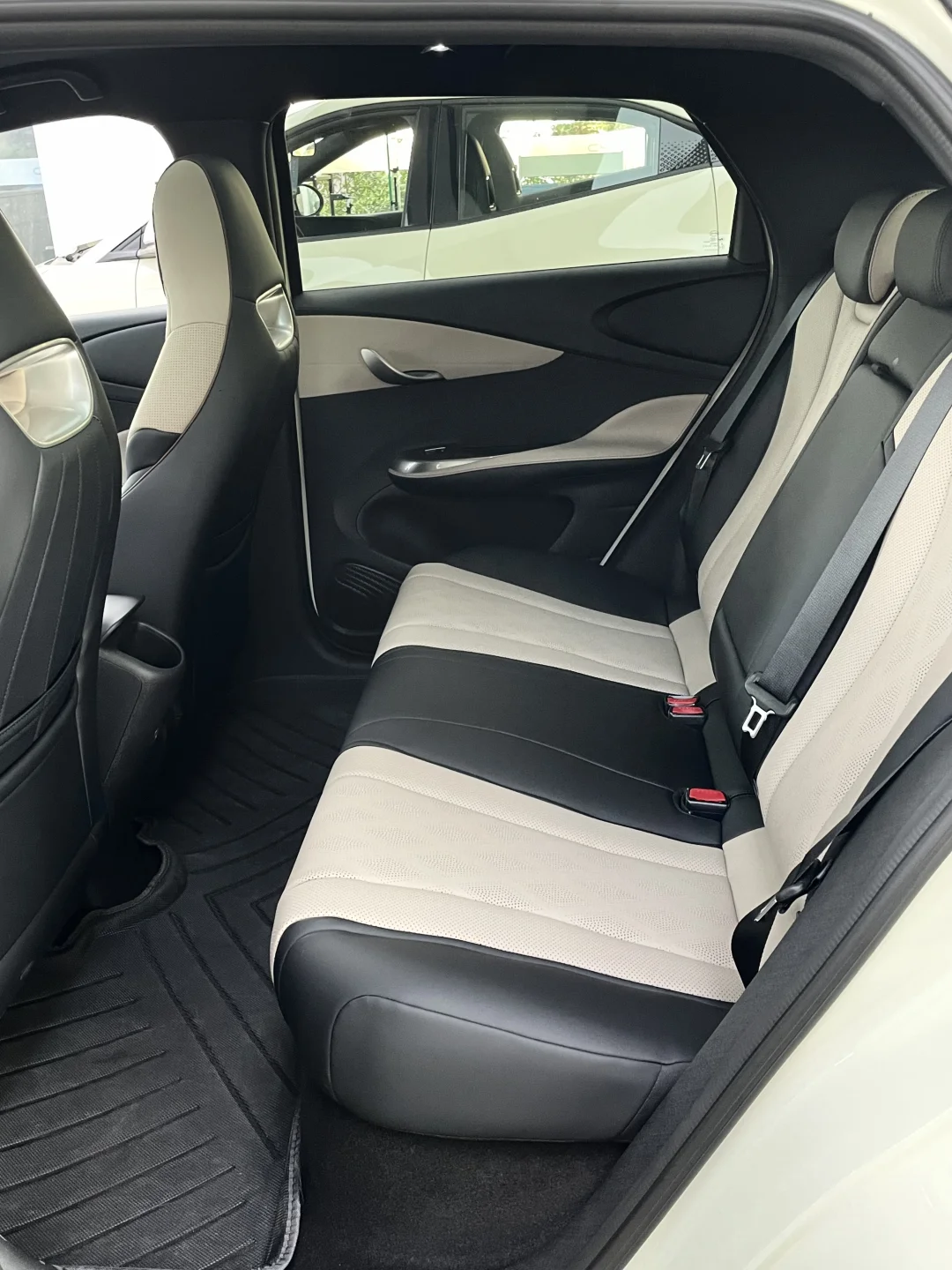 🐬比亚迪海豚，真的越看越爱！