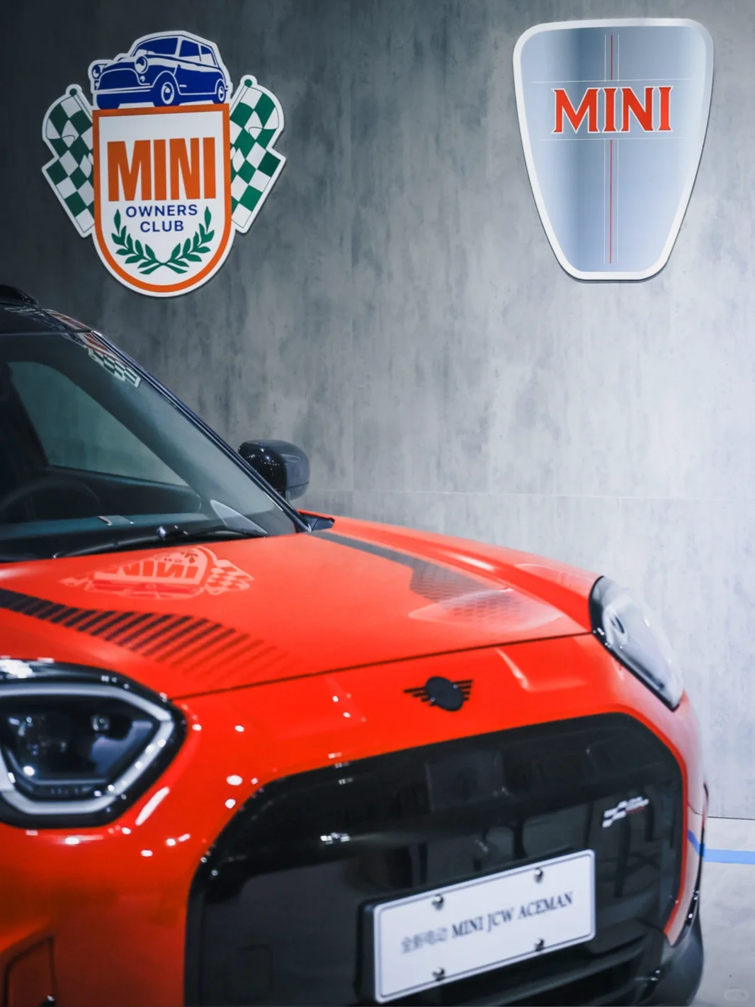 爱与疯狂 MINI请你停止释放魅力