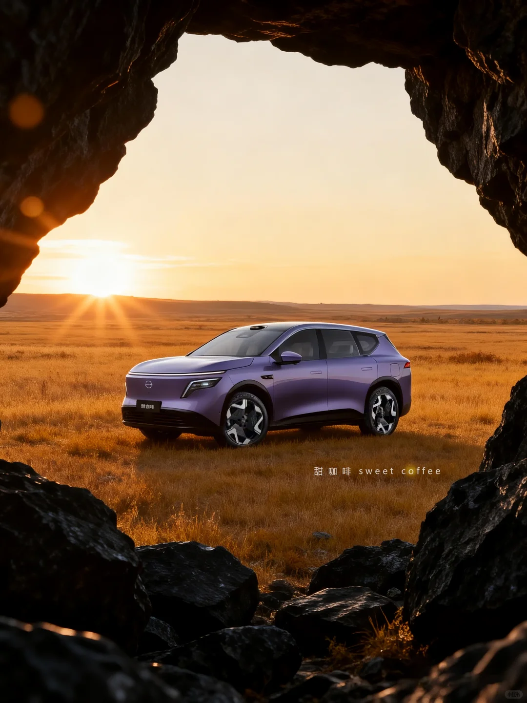 平原驰骋的紫色SUV