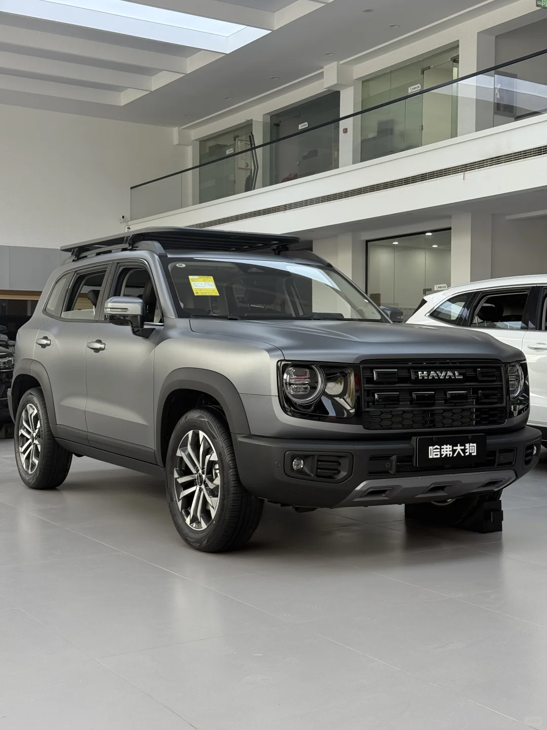 01年女生 预算10w左右 大狗值得入手嘛