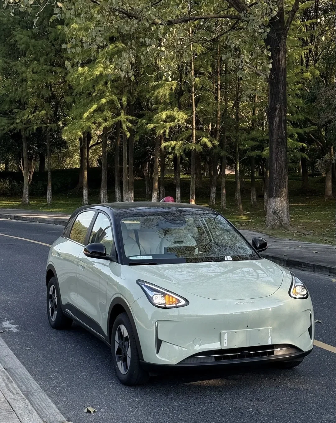 10万元以内新能源汽车怎么选?