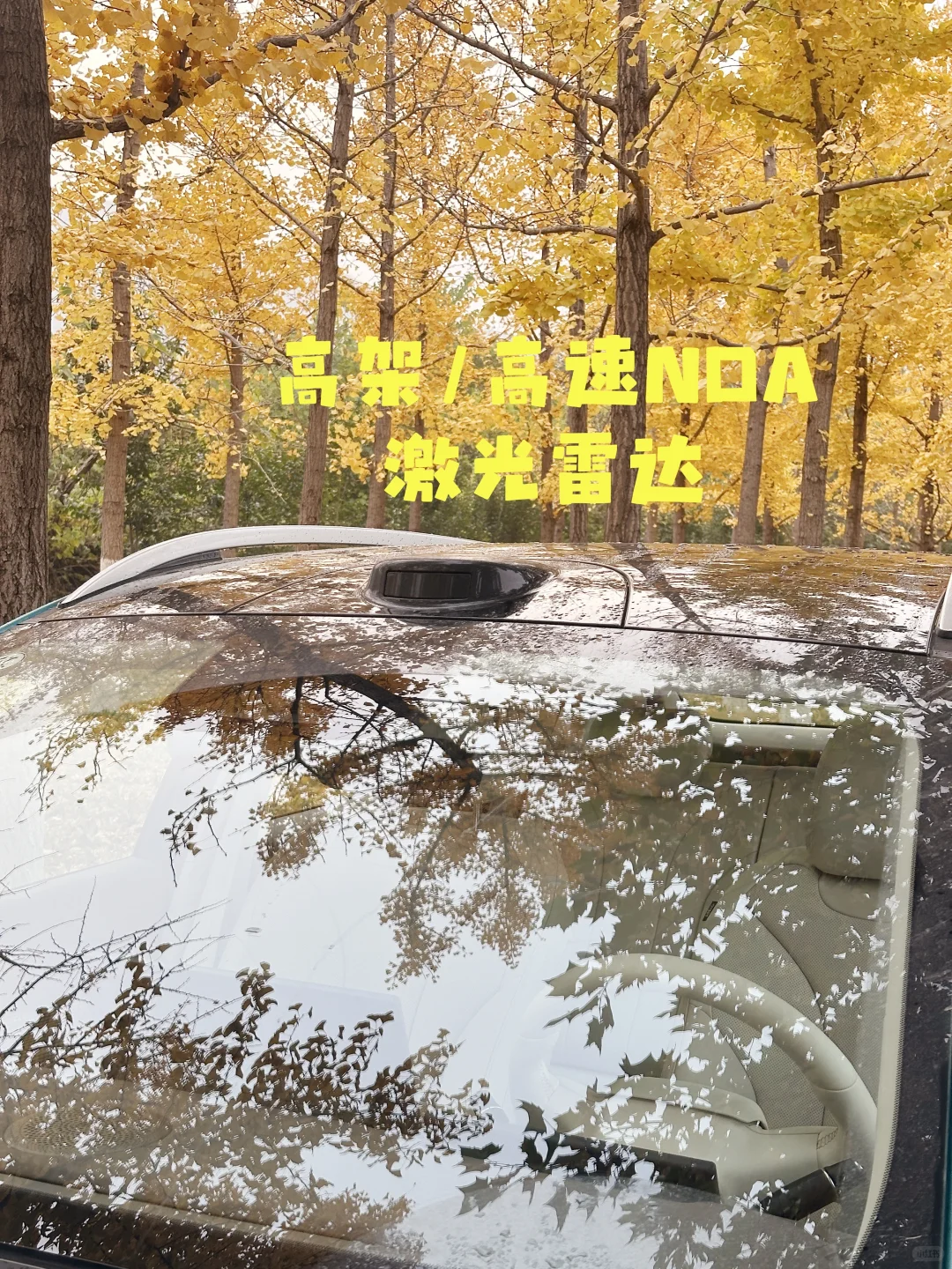 山东购车福利！纯电SUV闭眼冲不亏😎