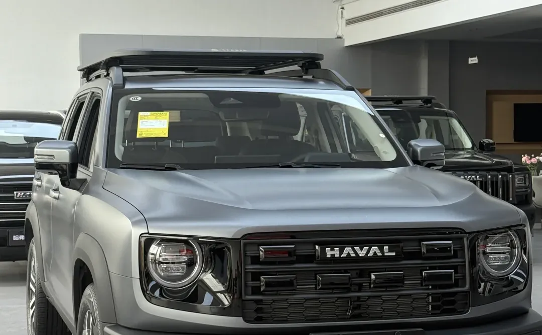 01年女生 预算10w左右 大狗值得入手嘛