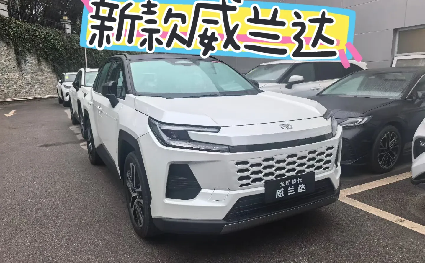 威兰达新款已到店，等你来撩！✨