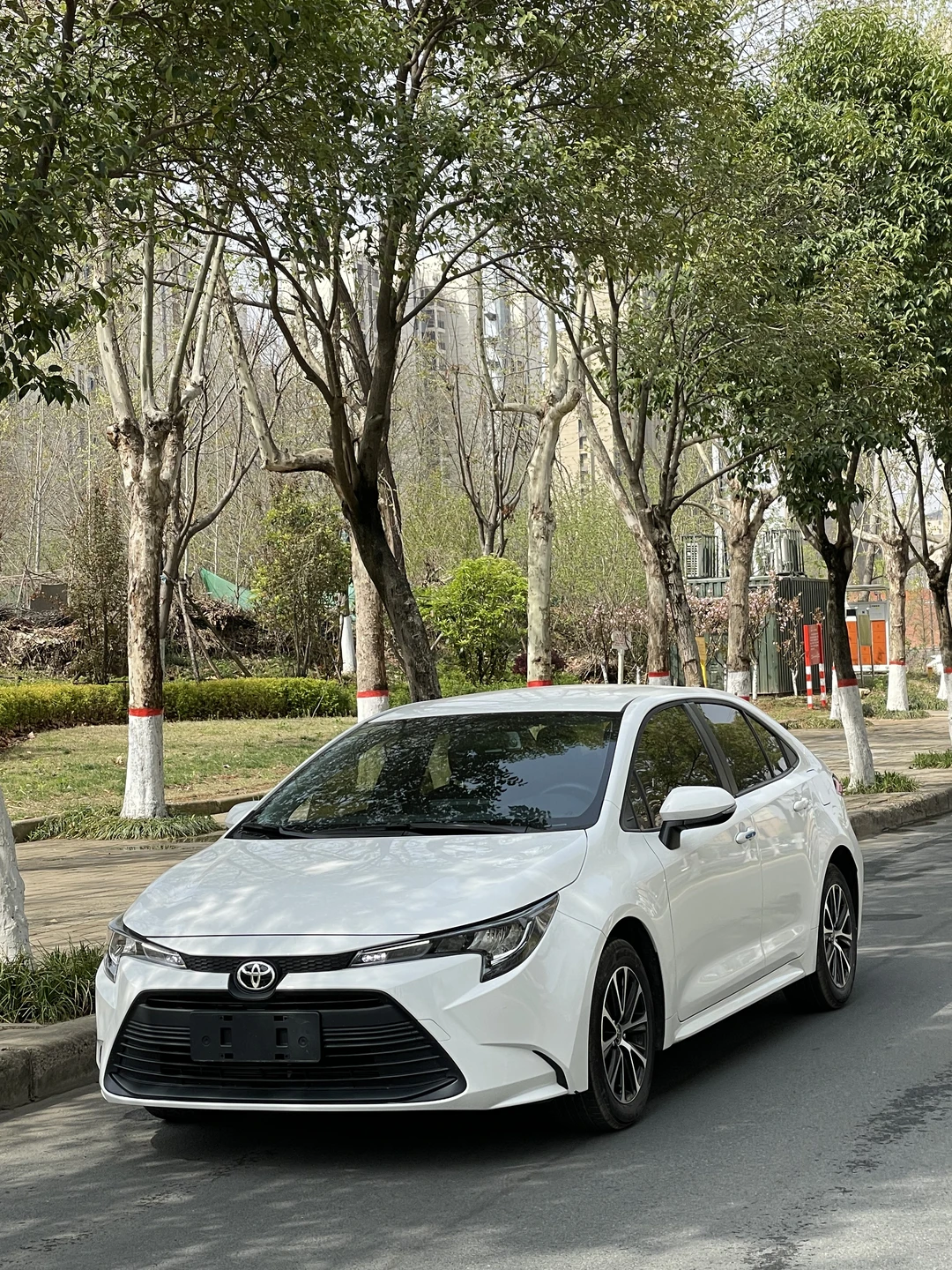 丰田雷凌，2024年3月上牌，3600公里