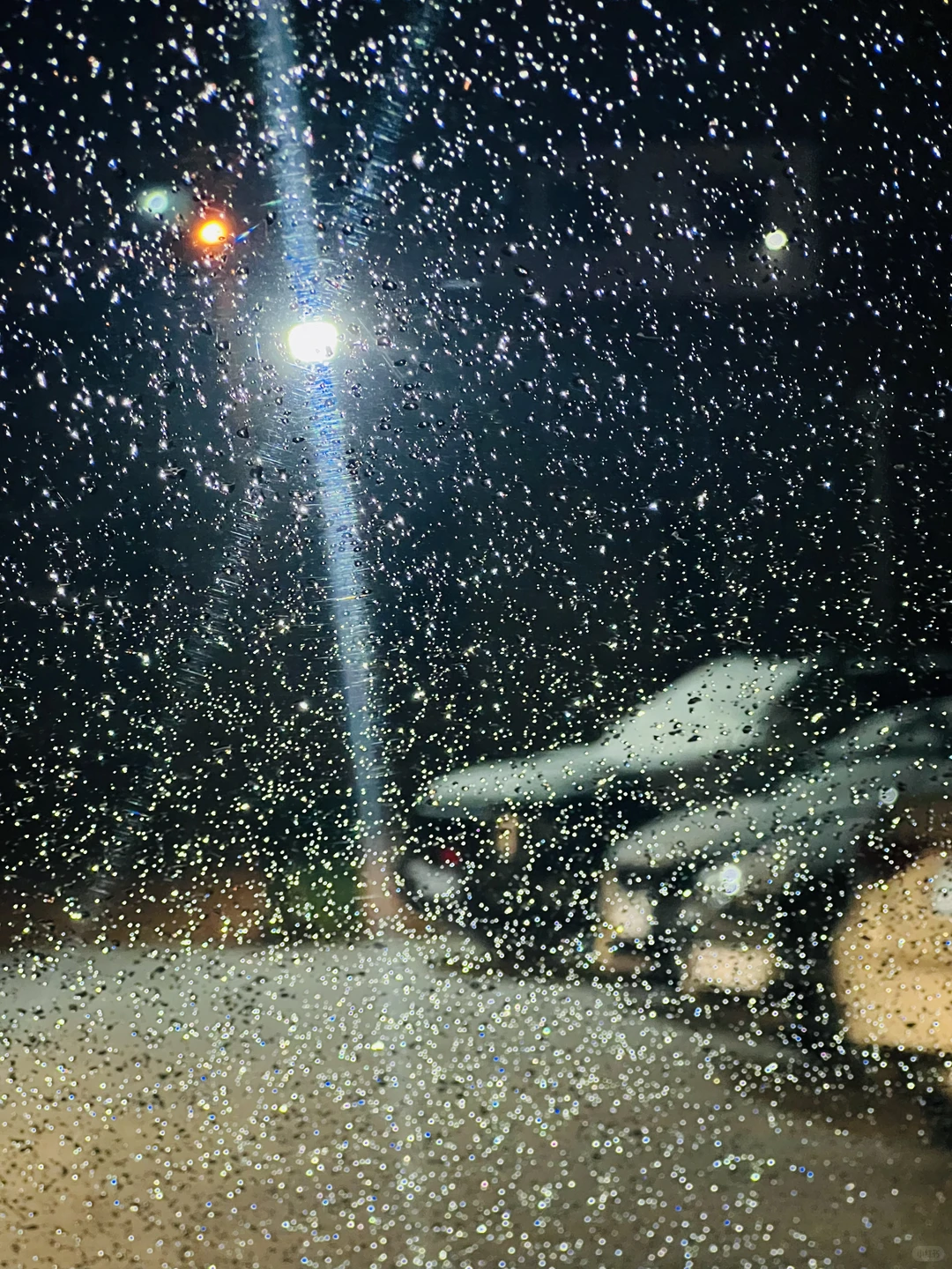 ❄️好可爱，大家在前方是红灯的时候都是