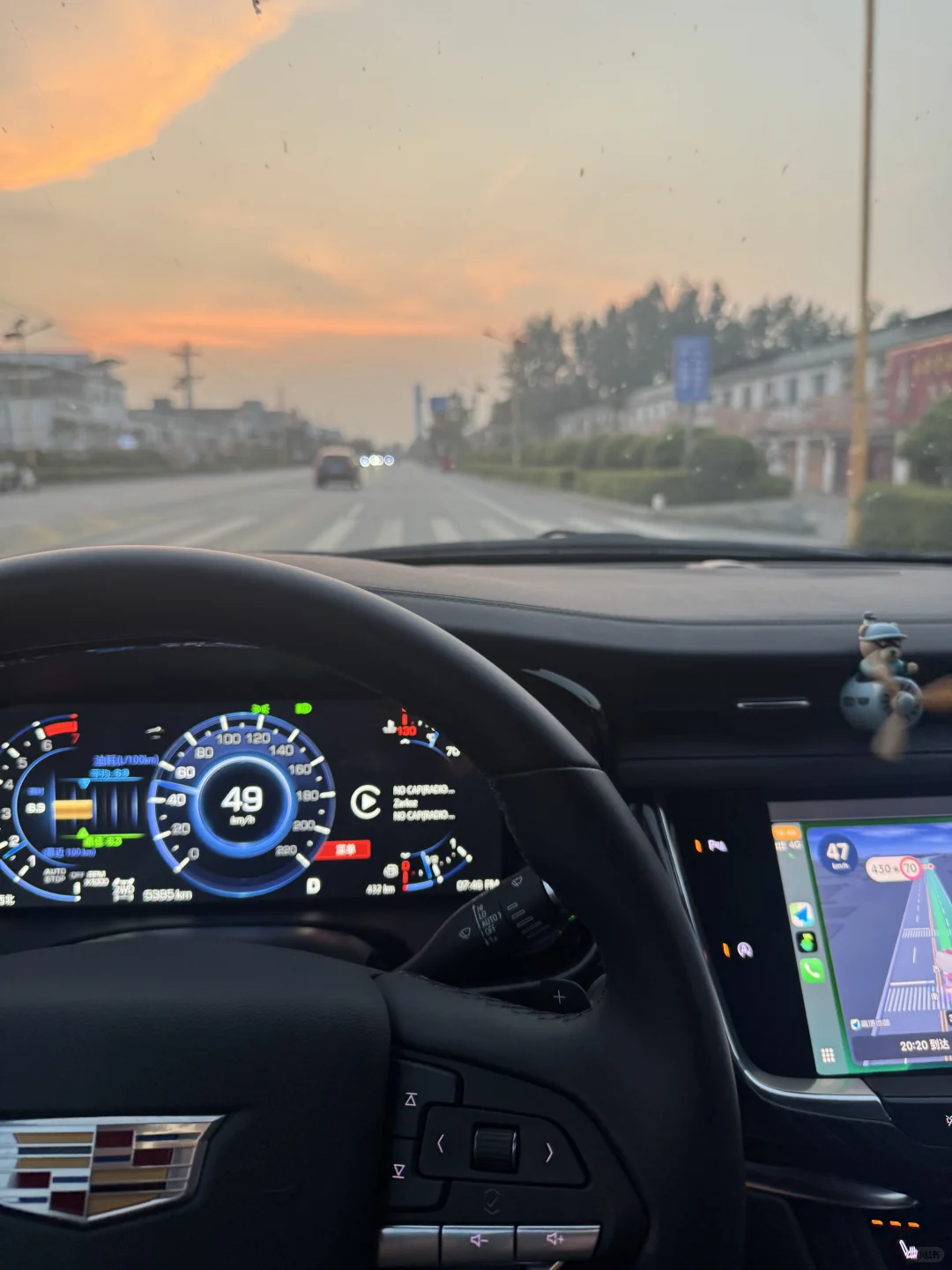 路见不平，蜂鸟摆平