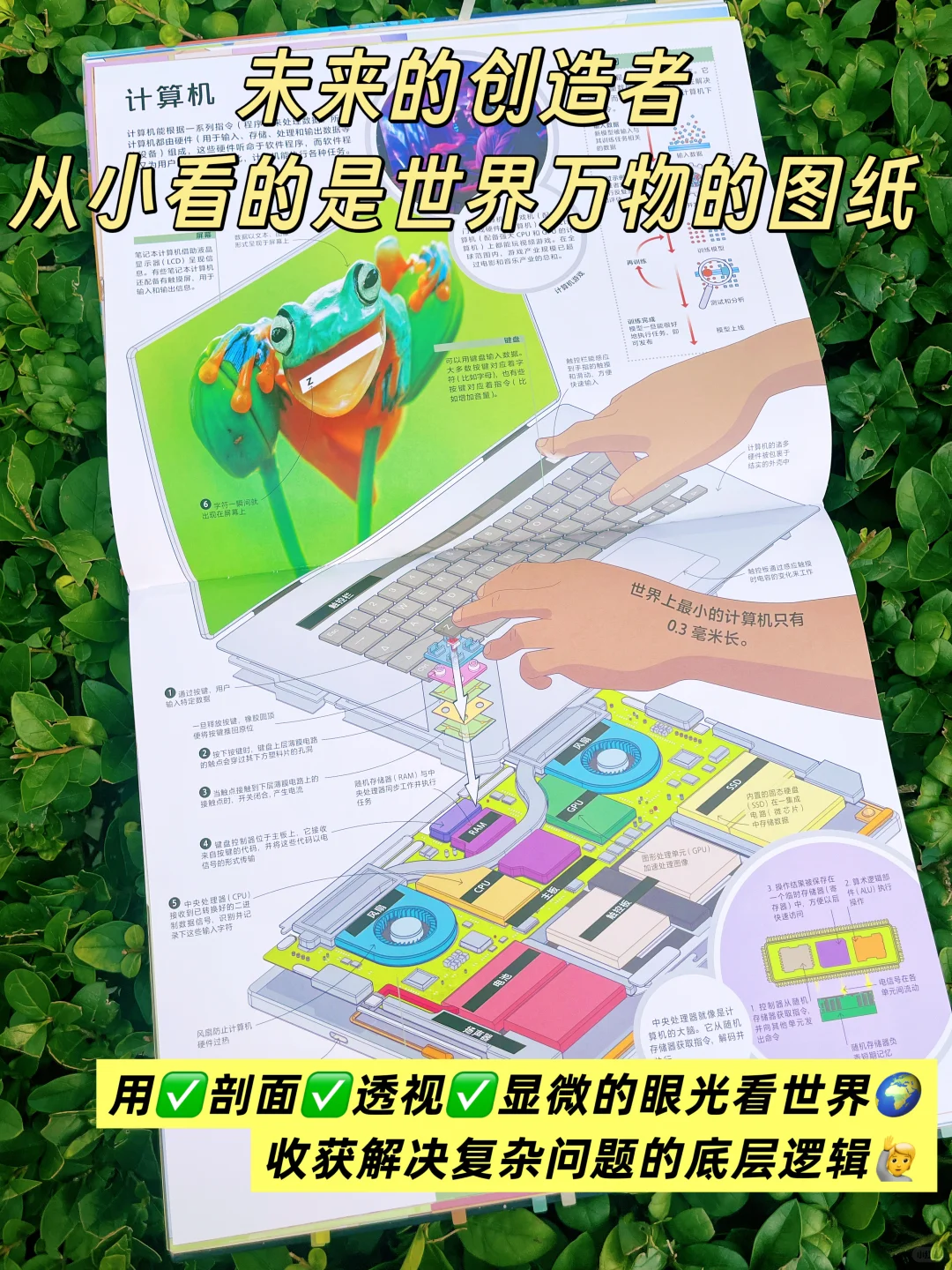 孩子顶级的见世面，在“生产端”