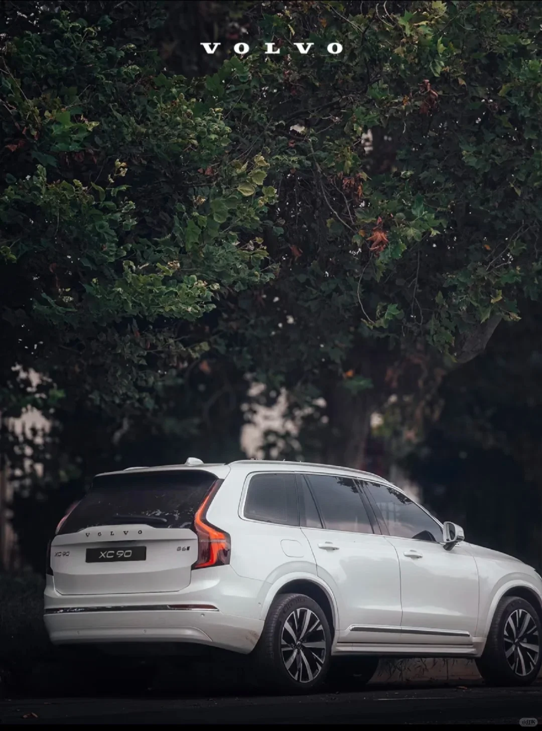 全新XC90双十二专享🔥旗舰SUV价格直降