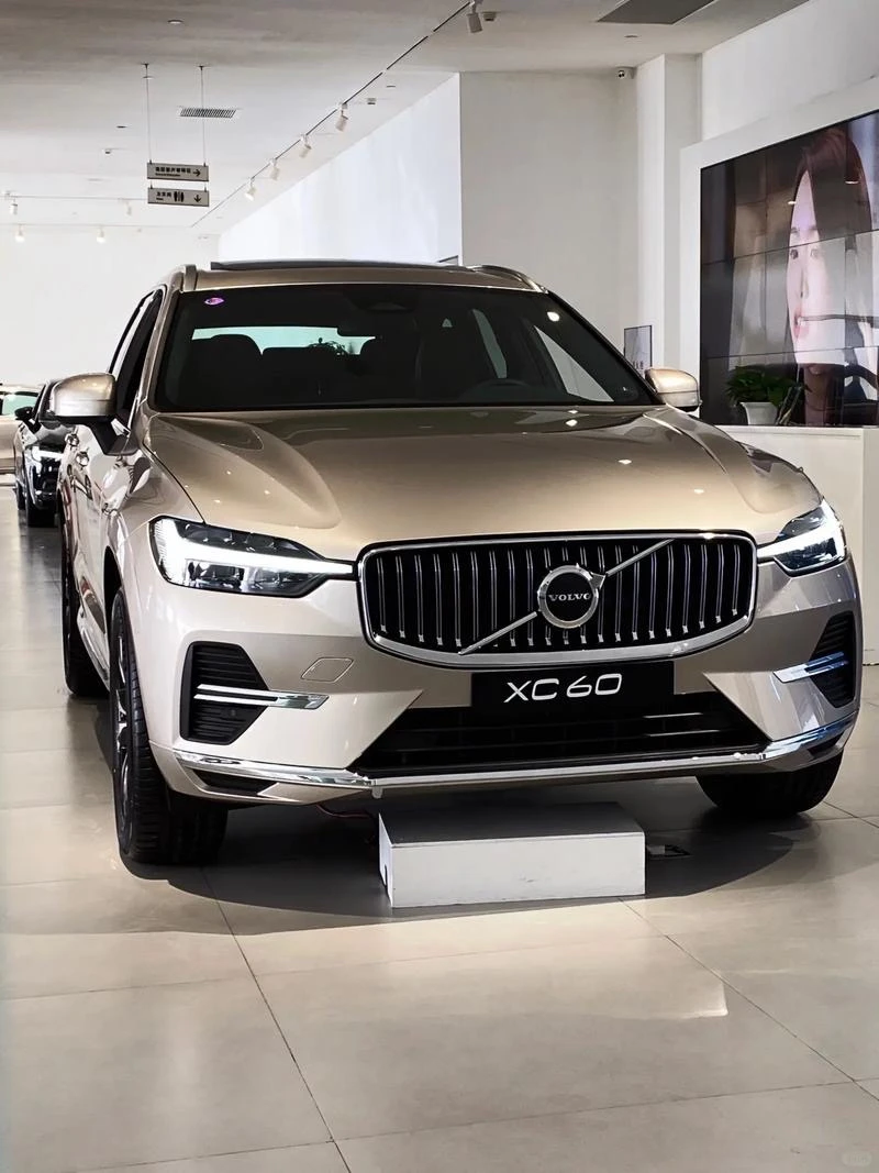 决赛圈，三选一，纠结中🧐