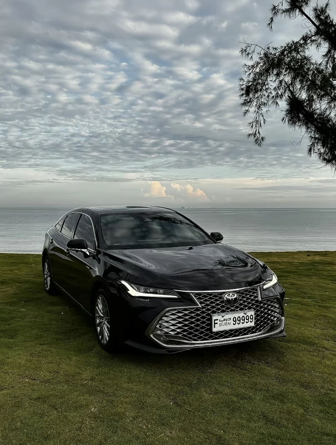 亚洲龙 | 被严重低估的宝藏座驾✨