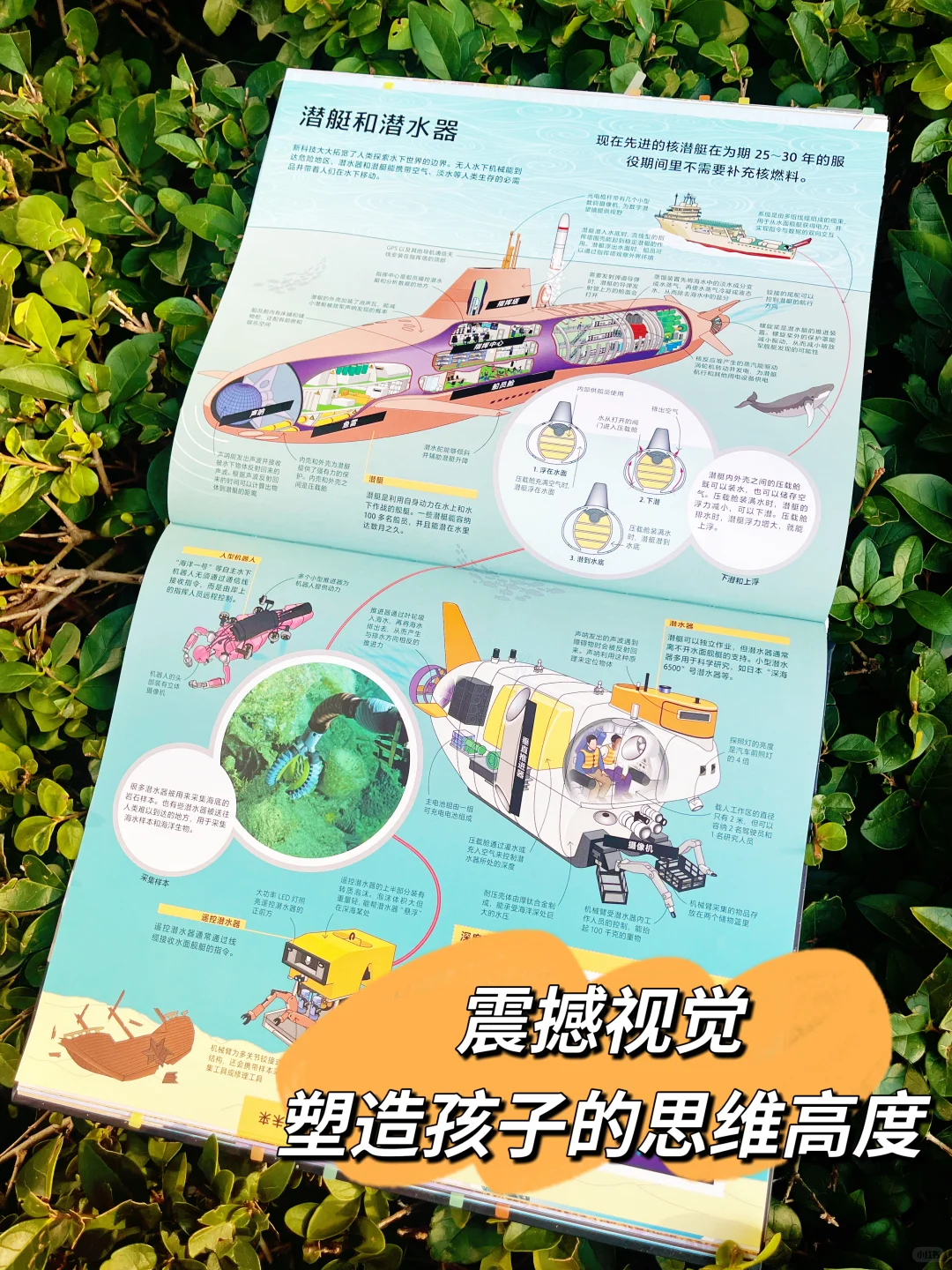 孩子顶级的见世面，在“生产端”