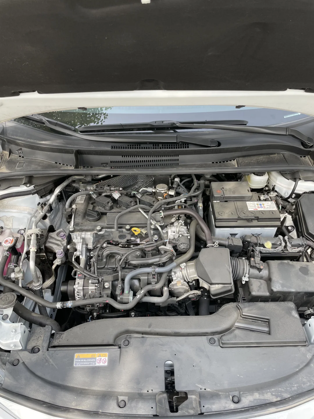 丰田雷凌，2024年3月上牌，3600公里