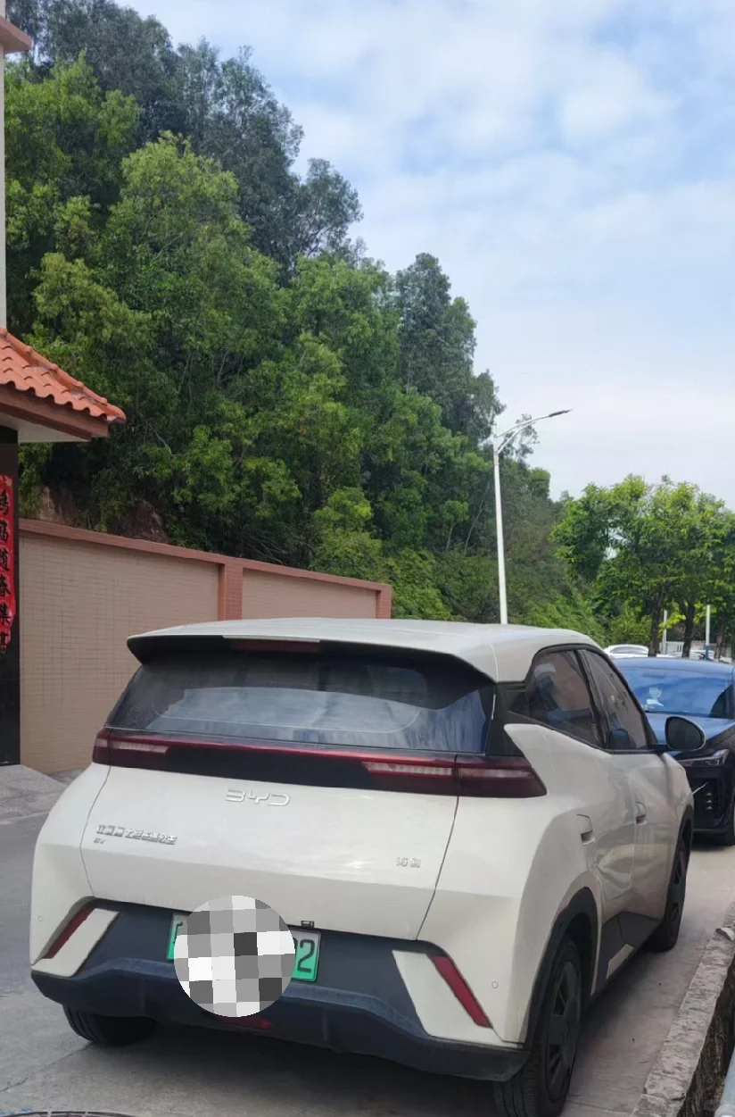 买 新国标电动车不如买四个🛞的