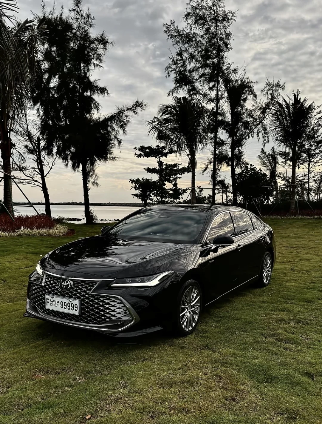 亚洲龙 | 被严重低估的宝藏座驾✨