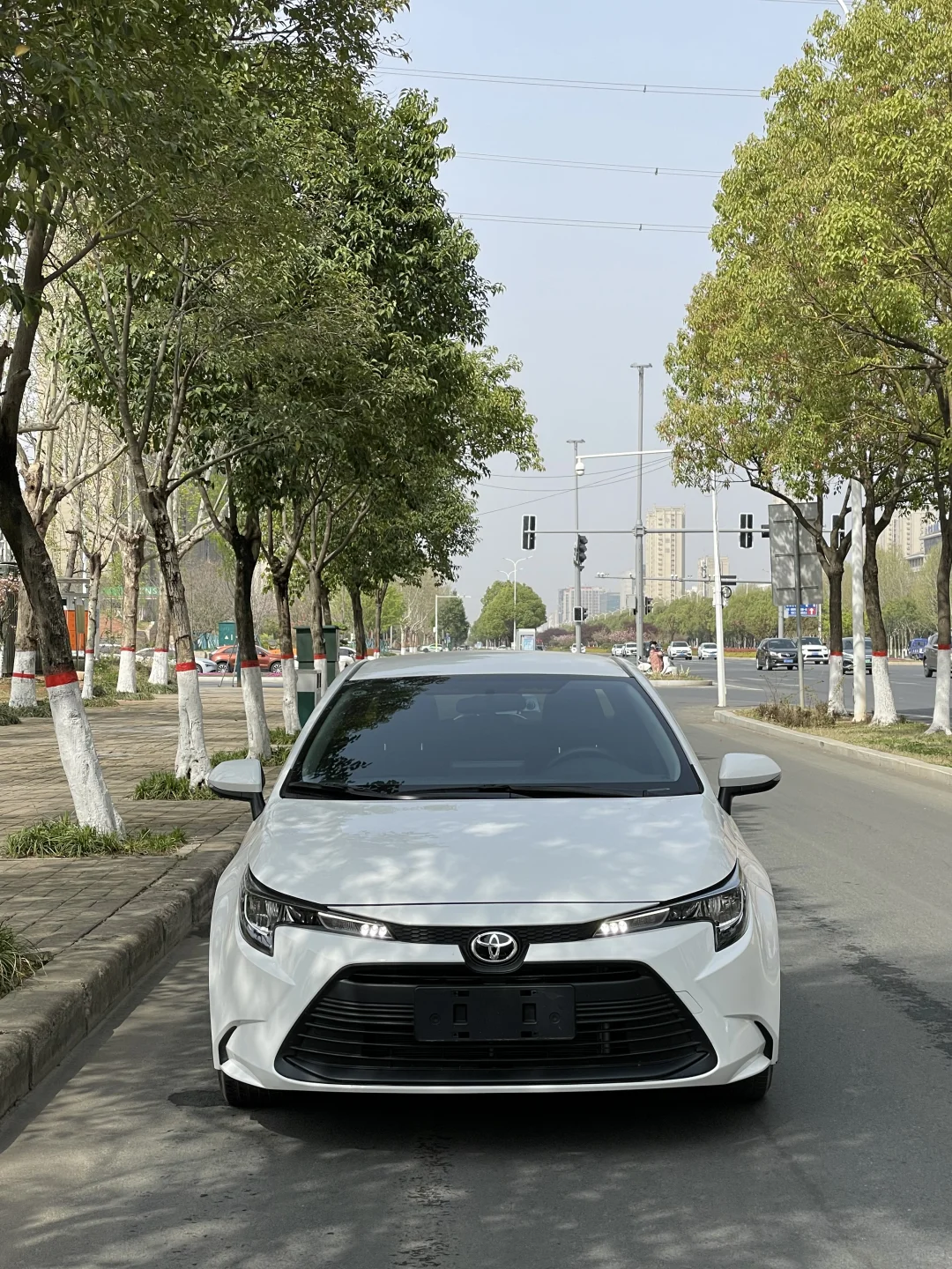 丰田雷凌，2024年3月上牌，3600公里