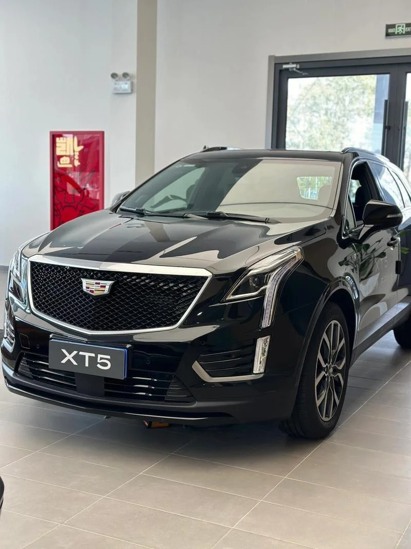 决赛圈，三选一，纠结中🧐