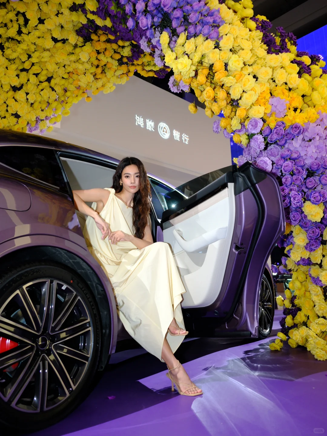 做热烈且自由的玫瑰