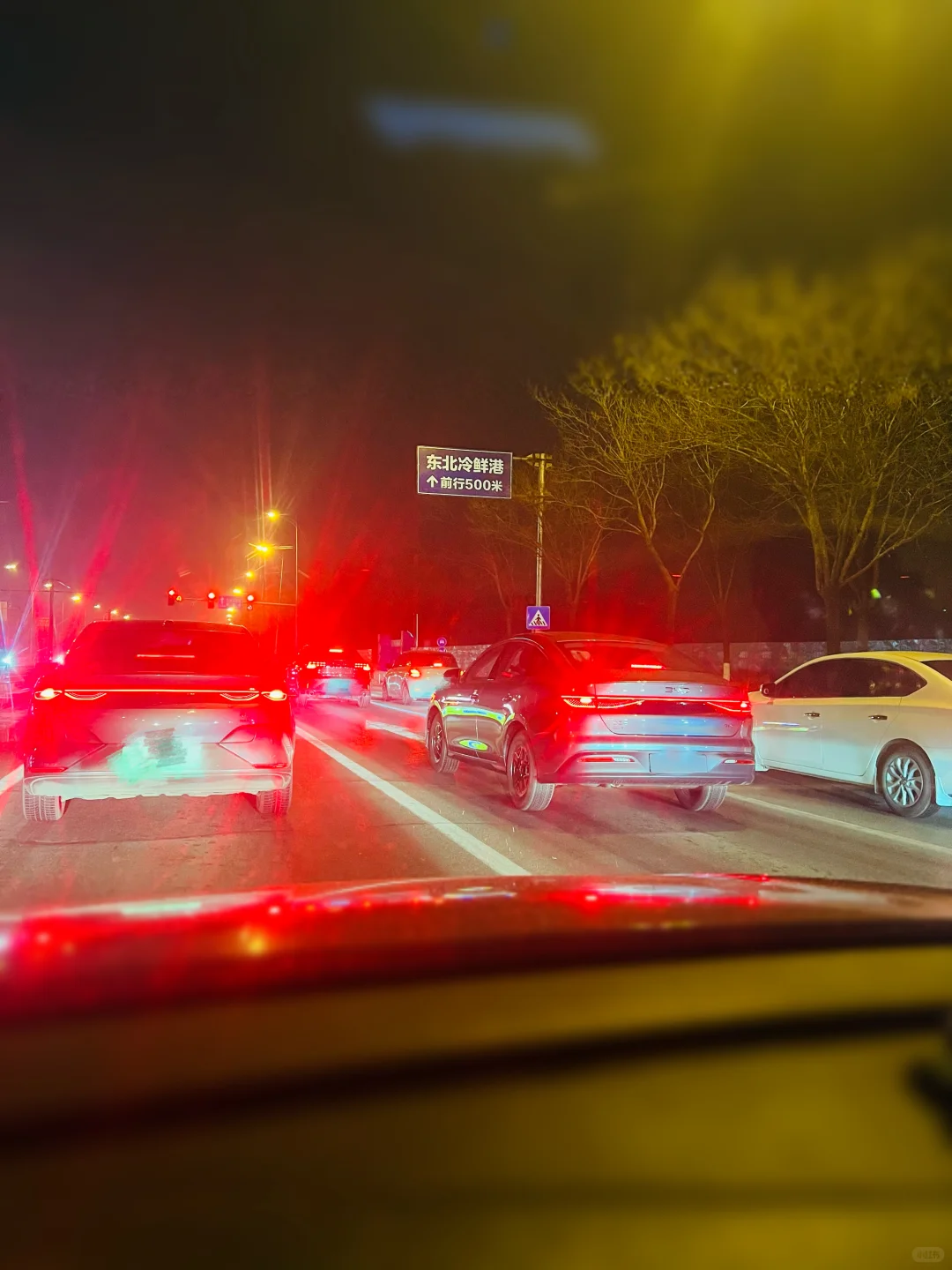 ❄️好可爱，大家在前方是红灯的时候都是