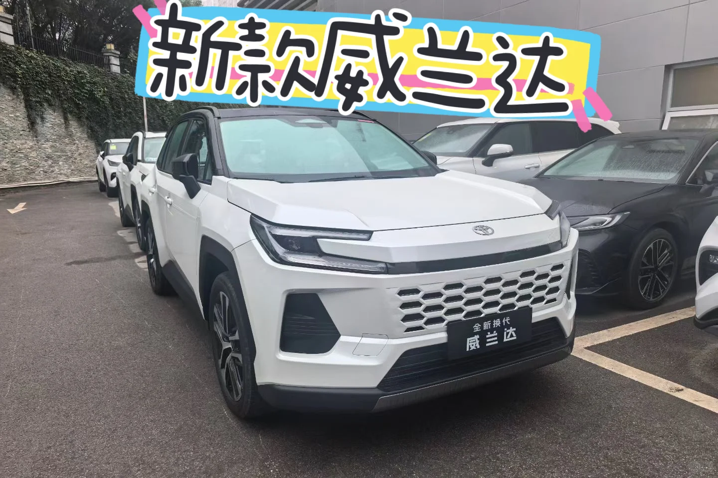 威兰达新款已到店，等你来撩！✨