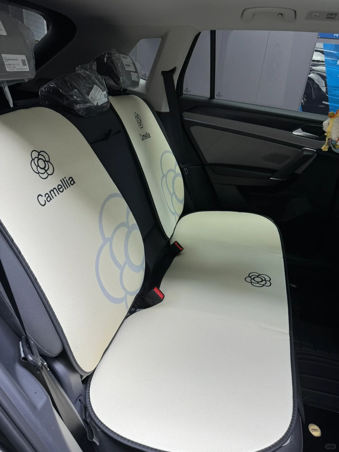 探岳300全款落地14W