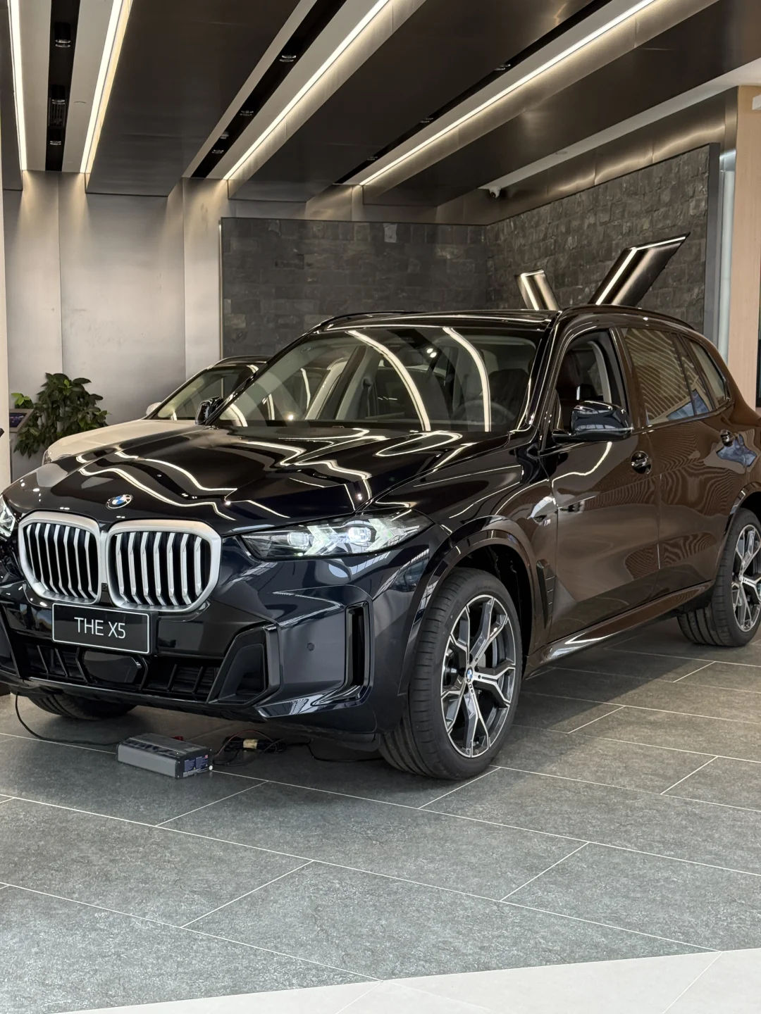 宝马X5提车！豪华SUV的终极平衡术被它玩明白