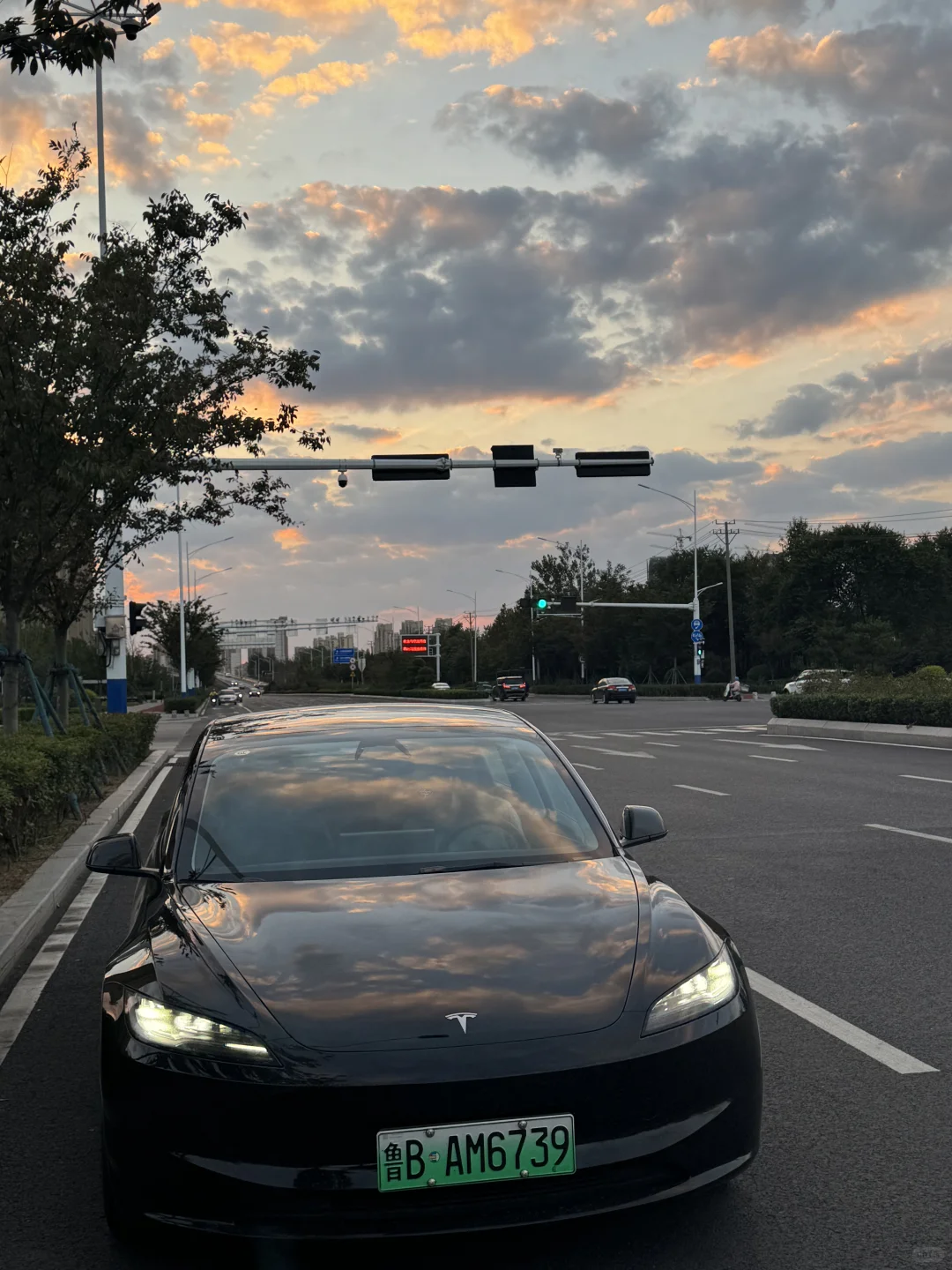 和父母吵了好多次，最终选了Model 3