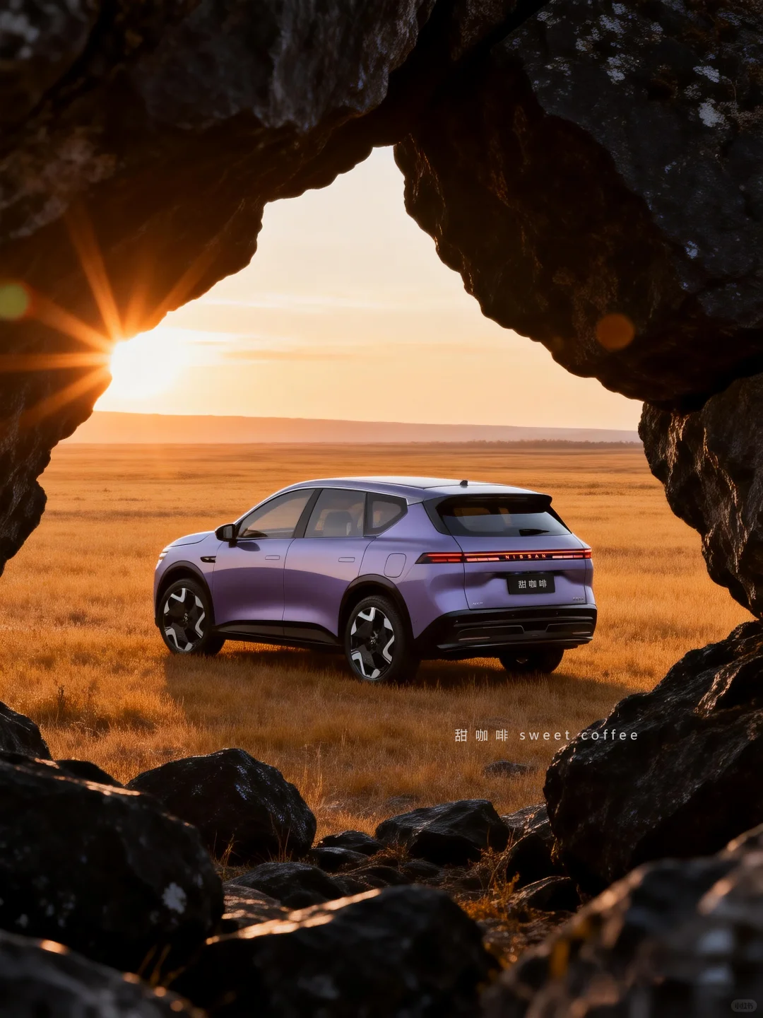 平原驰骋的紫色SUV