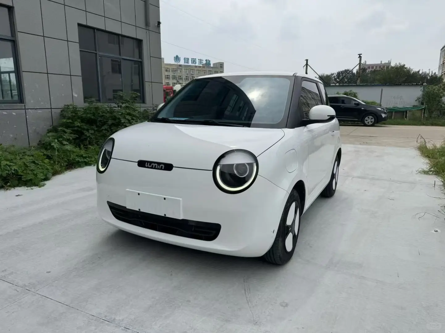 新手小白5万内电车闭眼选！