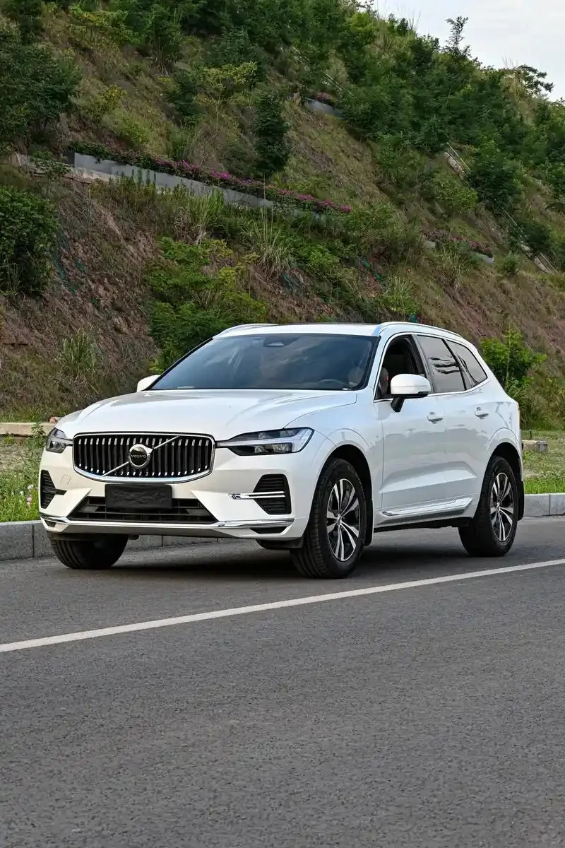 🚗豪车品鉴2025款沃尔沃XC60，到底有多绝