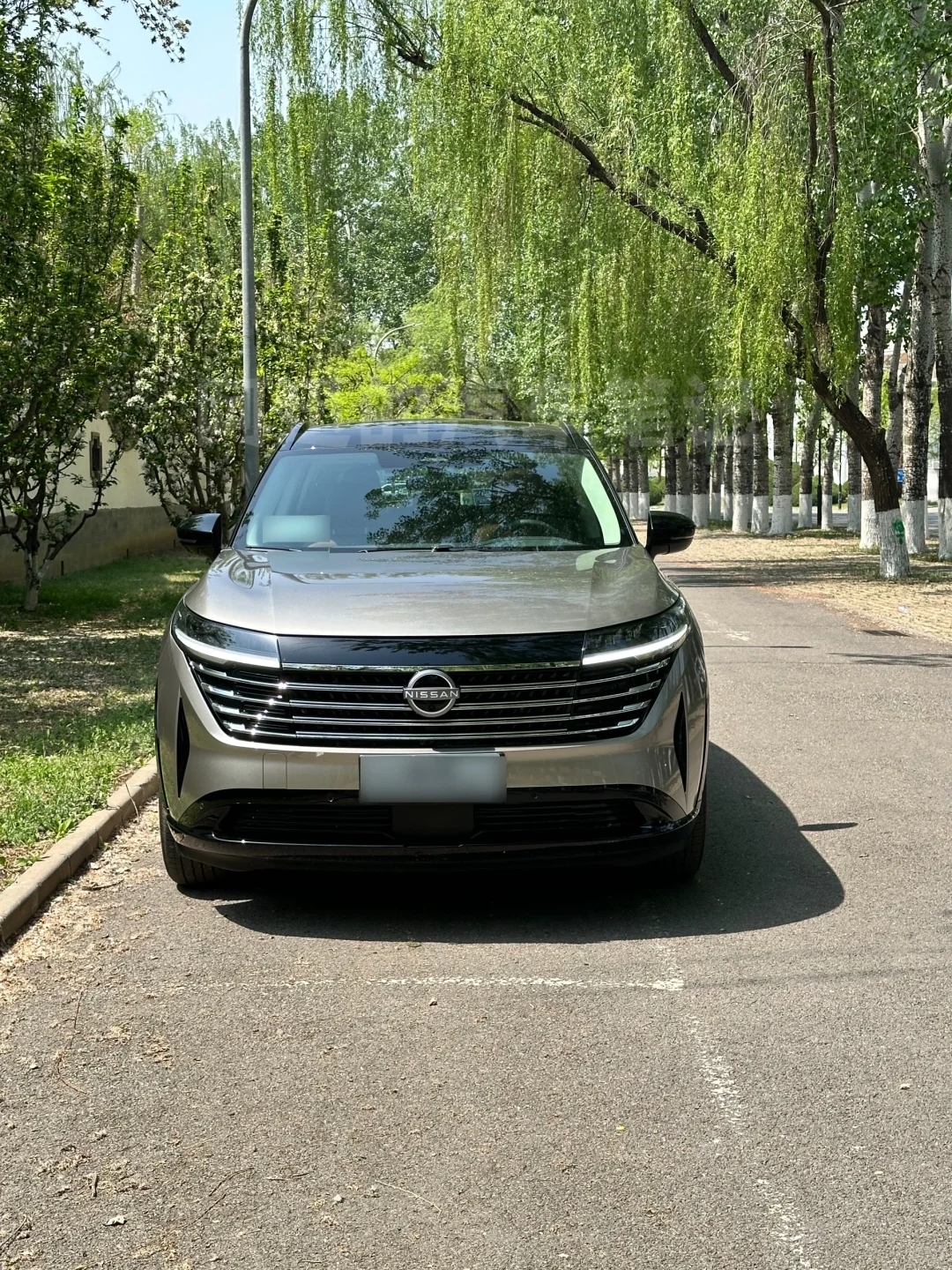 日产探陆优缺点总结！20多W预算买中大型SUV