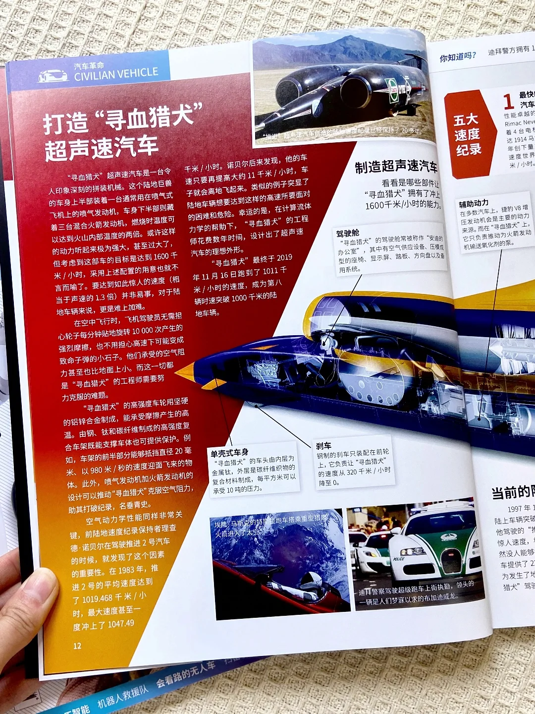 《万物》新专刊上线：带娃玩转AI+海陆空！