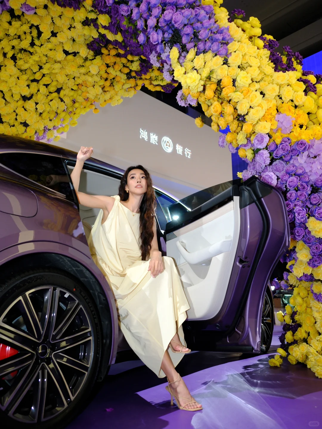 做热烈且自由的玫瑰