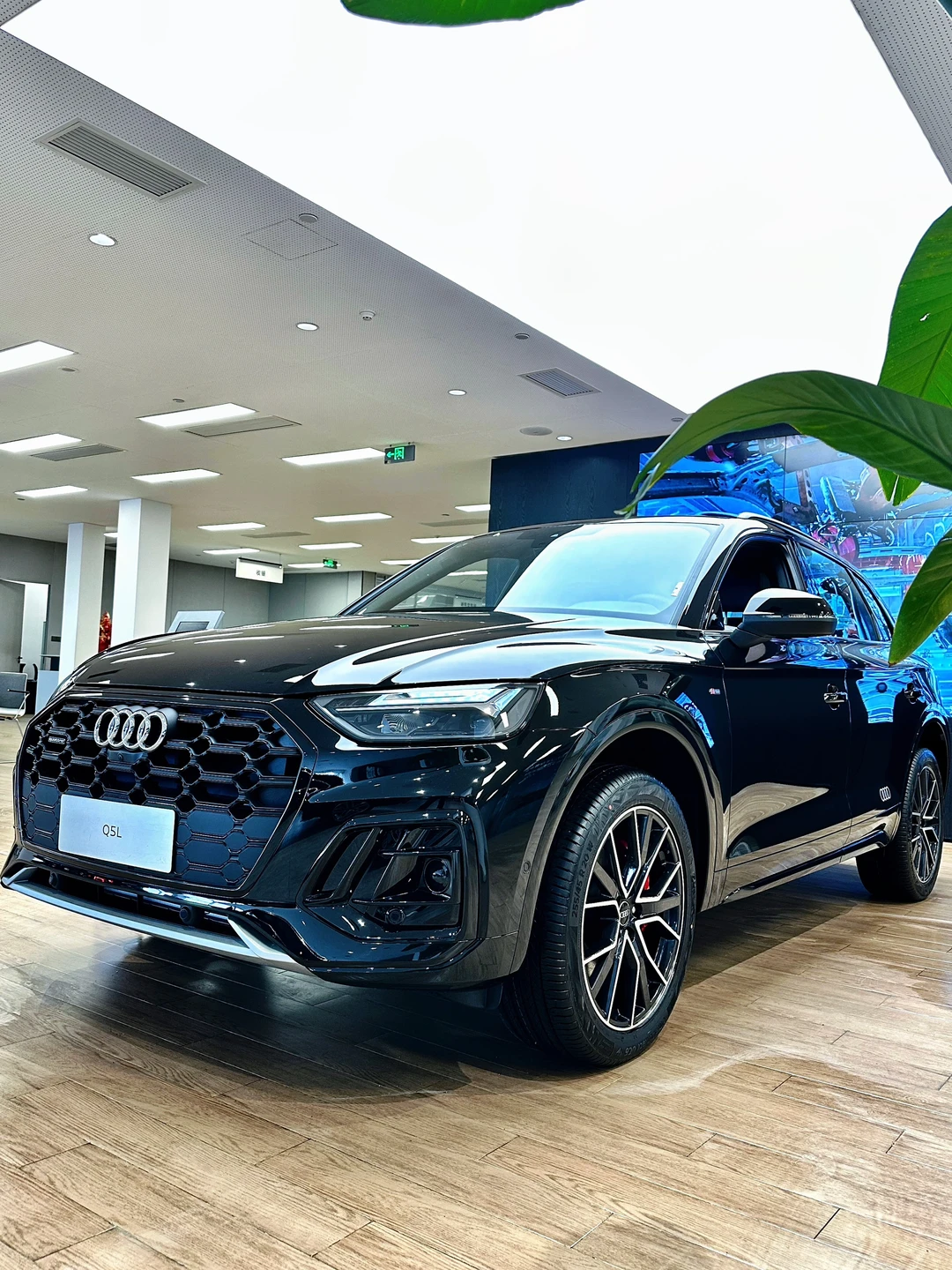 25万的Q5、我跟你拼了！🤣