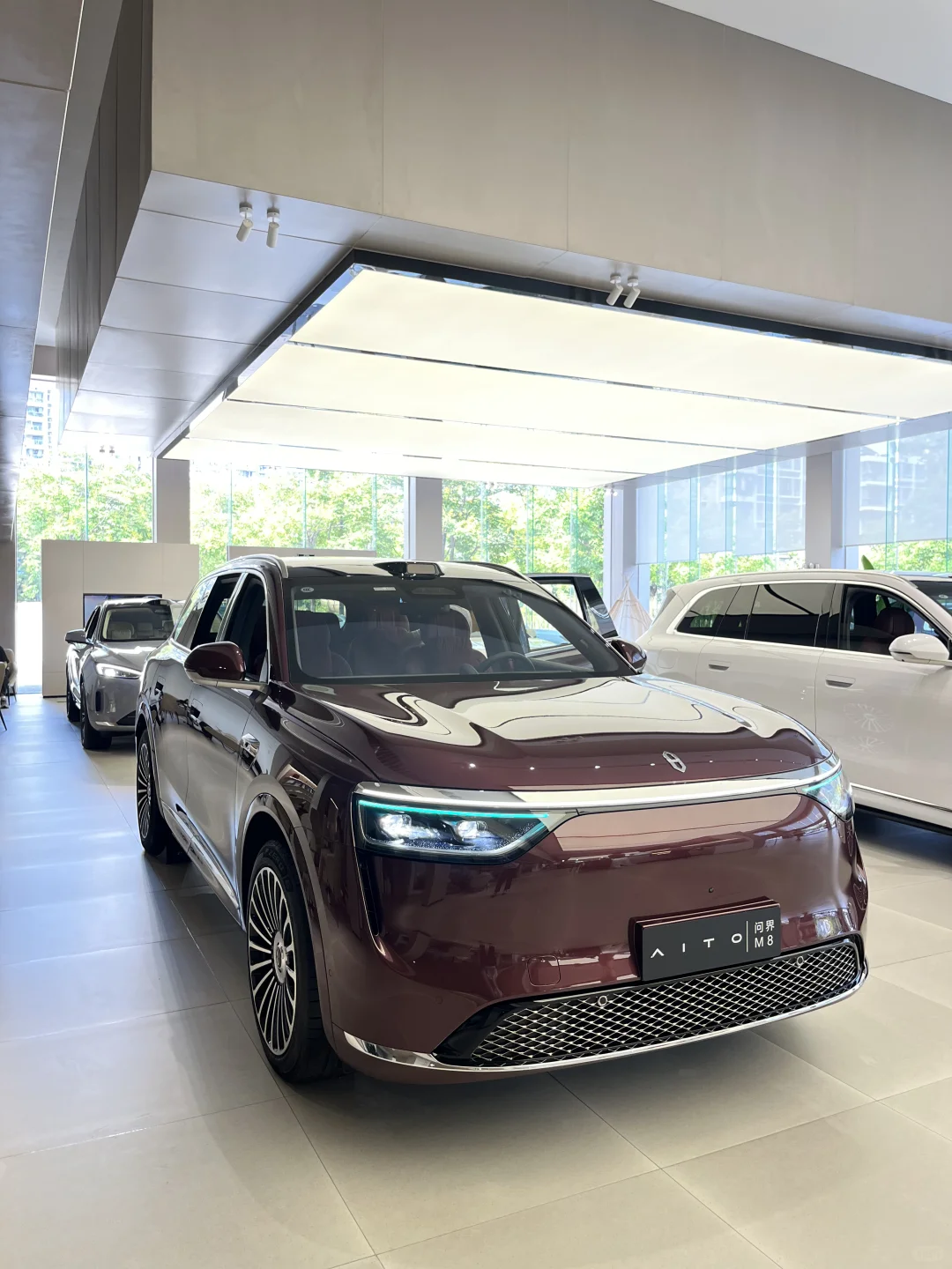 九月买车不纠结就选纯电M8